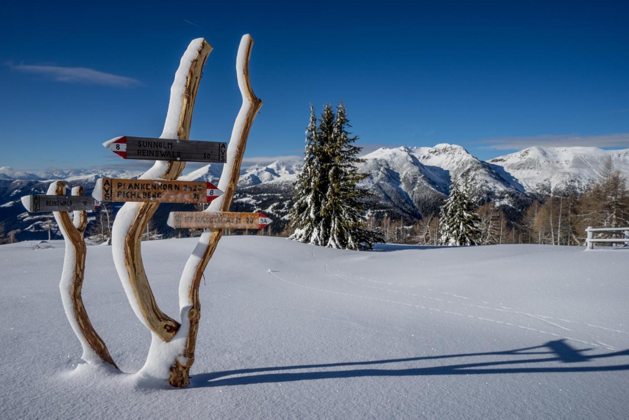 Hotel Panoramic Lotsch Sarentino ภายนอก รูปภาพ